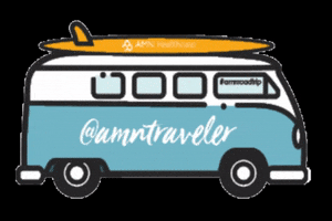 AMN Traveler GIF