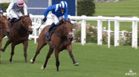 Ascot Racecourse Gif Find Share On Giphy Ascot Racecourse Gif Find Share On Giphy