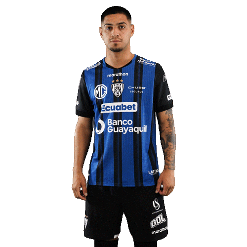 Dance Futbol Sticker by INDEPENDIENTE DEL VALLE