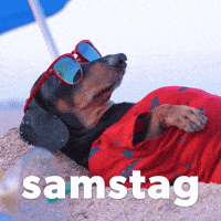 Samstag GIF by Sealed With A GIF