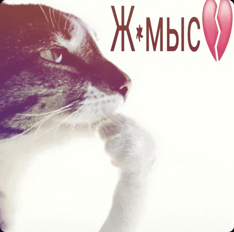 Қазақша Мемдер GIF