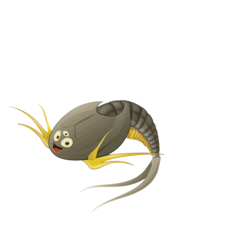 Triops King Sticker
