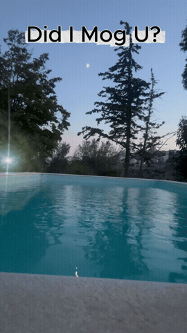 Pool Chad GIF