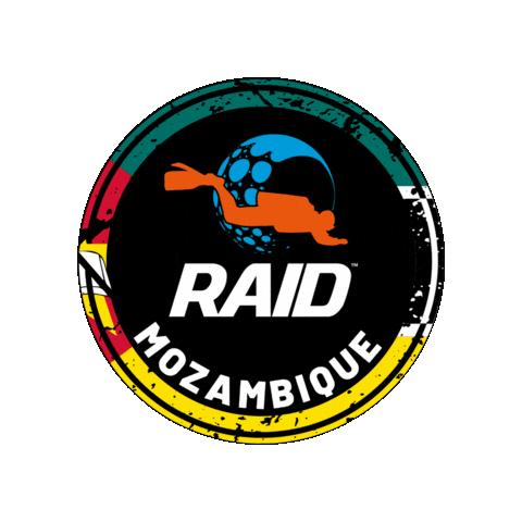 Raid Sticker by DiveRAID