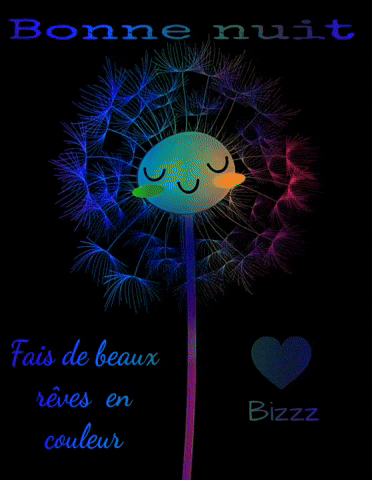 Bonne Nuit GIF