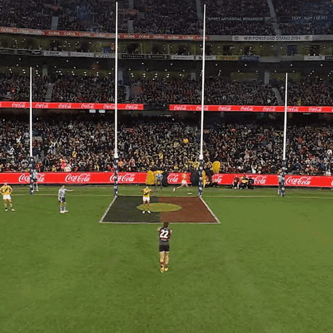 GIF by Essendon FC