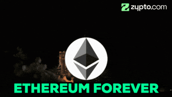 GIF by Zypto