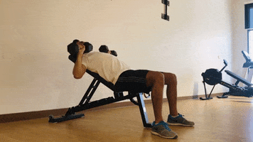 Weightlifting GIF