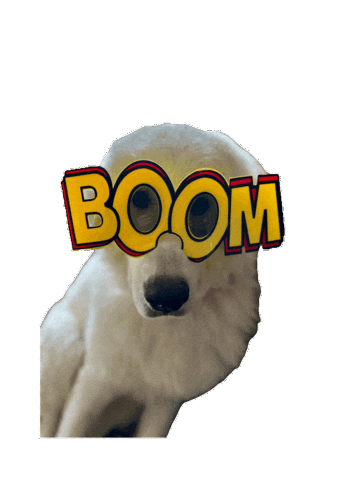 Boom Funny Dog Sticker
