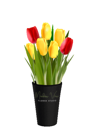 mvflowers Sticker