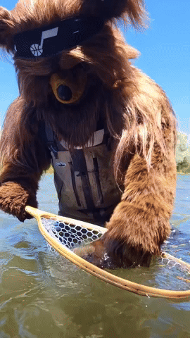 Jazz Bear GIF