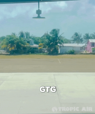 GIF by Tropic Air Belize