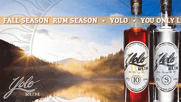 Happy Hour Party GIF by Yolo Rum