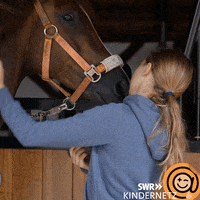 Horse Love GIF by SWR Kindernetz