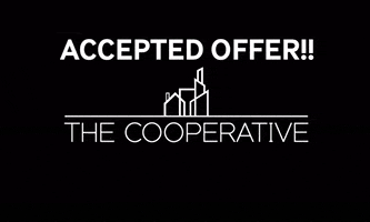 Divine Realty Group GIF