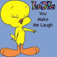You-make-me-lol GIFs - Get the best GIF on GIPHY You-make-me-lol GIFs - Get the best GIF on GIPHY