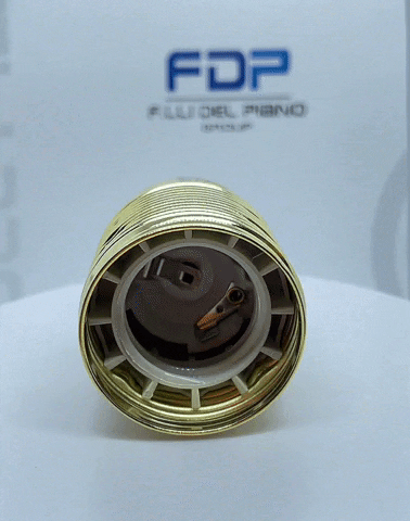 1031F GIF