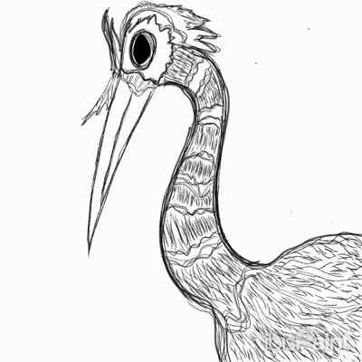 Ibist Ornithology Artanddesaign GIF