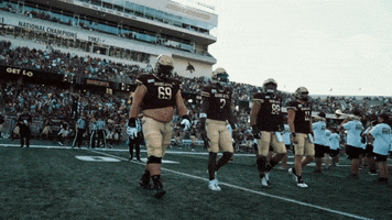 San Marcos Sport GIF by Texas State Football