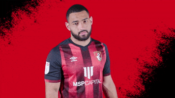 Football Disagree GIF by AFC Bournemouth