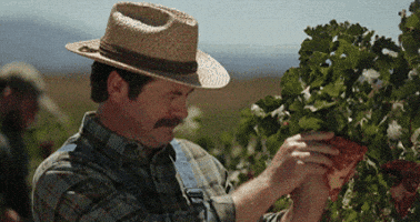 Alien Ant Farm GIFs - Find & Share on GIPHY