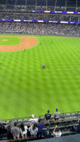 Atl-braves GIFs - Get the best GIF on GIPHY