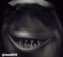 Shock Smile GIF