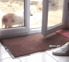 Dog Cleaning GIF by DevX Art
