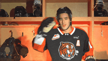 Hockey Tiger GIF by Medicine Hat Tigers