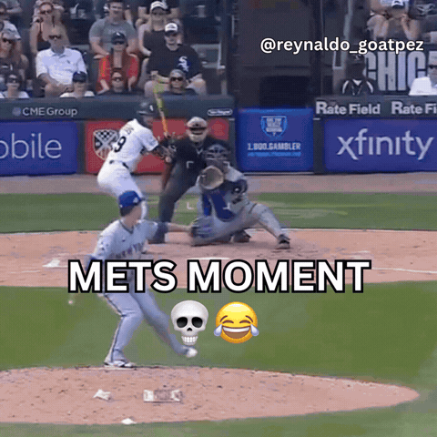 New York Mets Baseball GIF