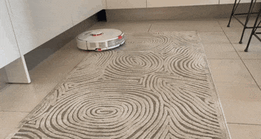 Roborock GIF
