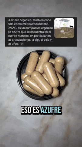 GIF animado