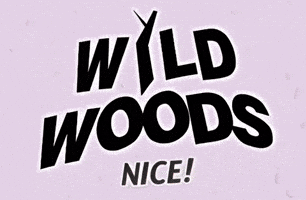 GIF by Holiday-Rental-Experts.com