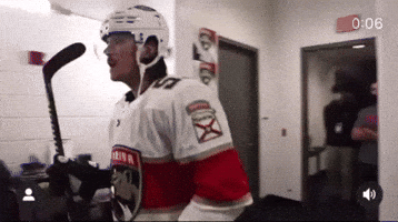 Florida Panthers Nhl GIF