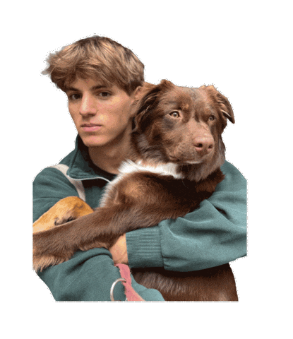 Dog Family Sticker by JusComte.de