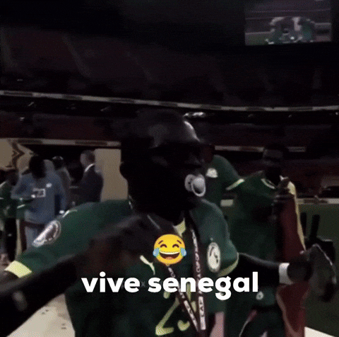 Africa Senegal GIF