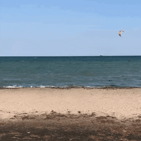 Summer GIF