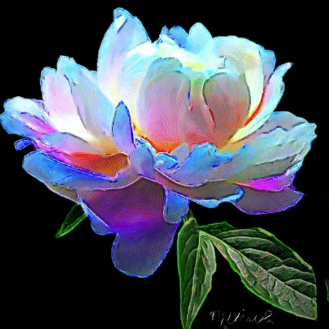 Flower Blooming GIF by Maryanne Chisholm - MCArtist