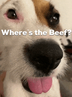 Dog Wheres The Beef GIF by arielle-m