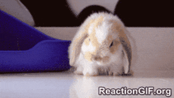 200.gif