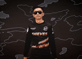 Adc Video Games GIF by 100 Thieves