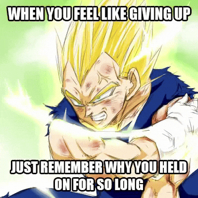 Dont Give Up Lewis Hamilton GIF