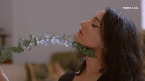 Sexually-aroused GIFs - Get the best GIF on GIPHY