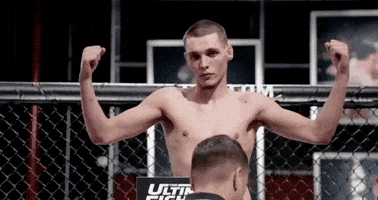 The Ultimate Fighter Hockey GIF by UFC