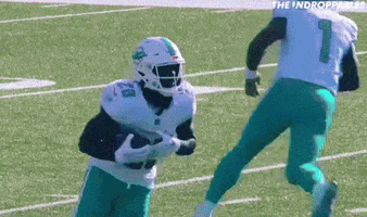 Miami Dolphins GIF by The Undroppables