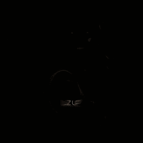 Liz Up Professional GIF