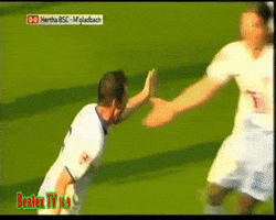 svenhaetscher pal dardai GIF