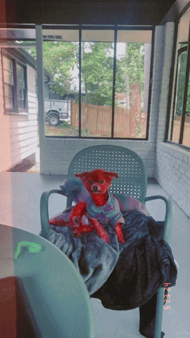 Clifford The Big Red Dog Dogs GIF by LaRayia