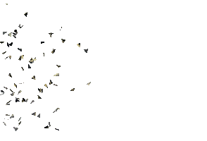 Watches Sticker by Luxury Istanbul