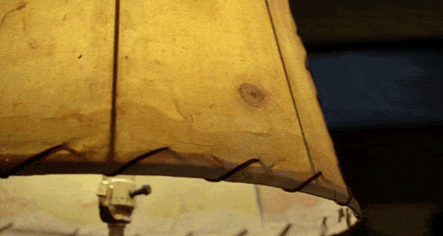 american horror story